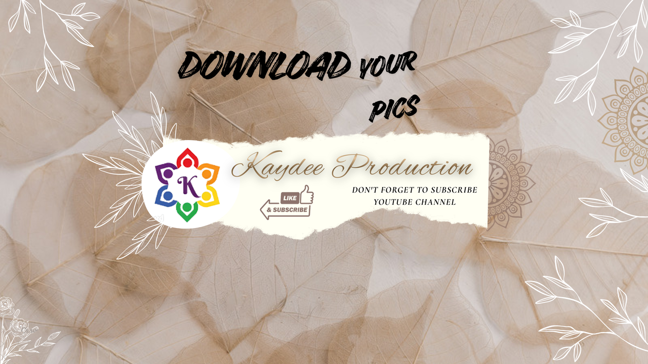 Kaydee Production