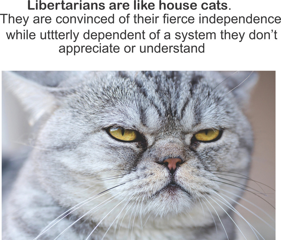 187.jpg