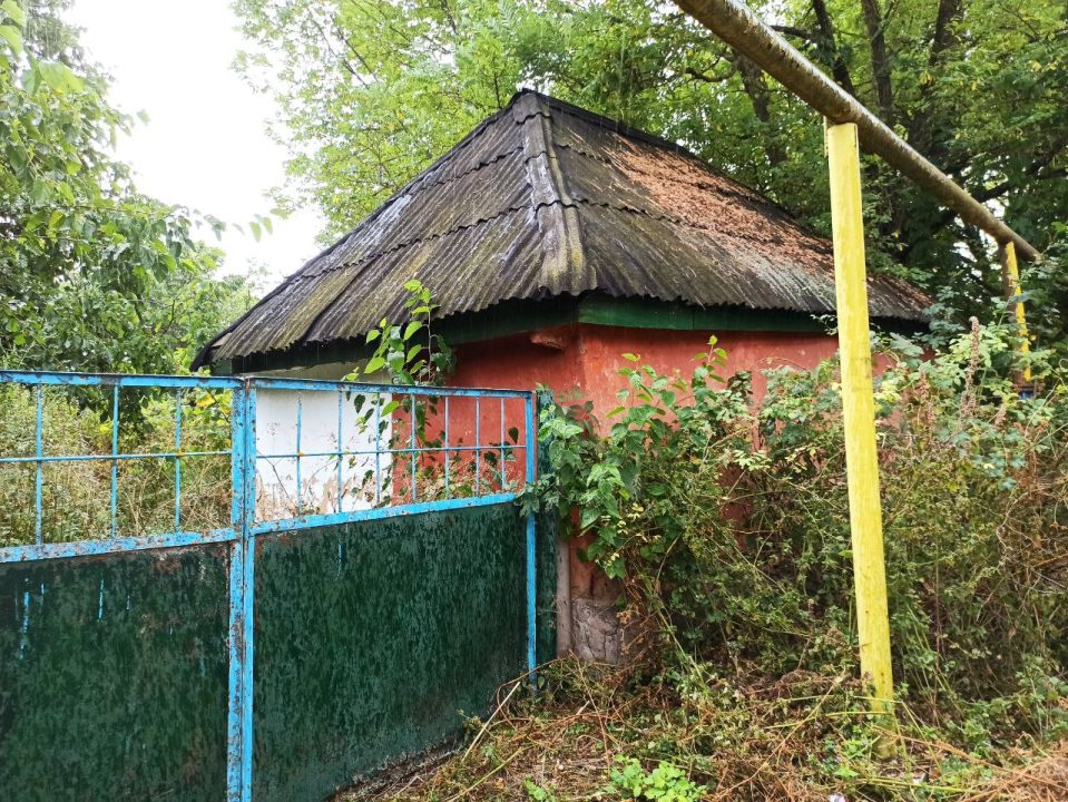 Чернеччина