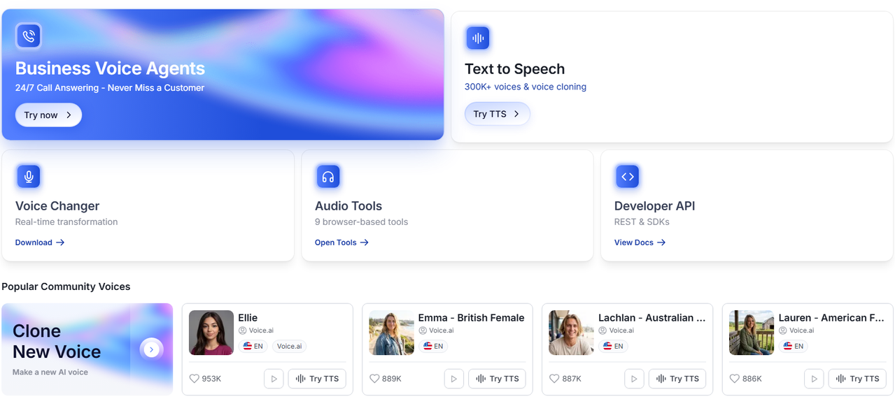 Voice ai starter plan