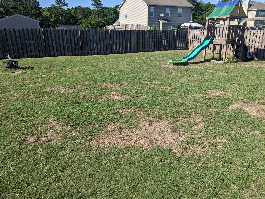 2021.05.13 back yard 2