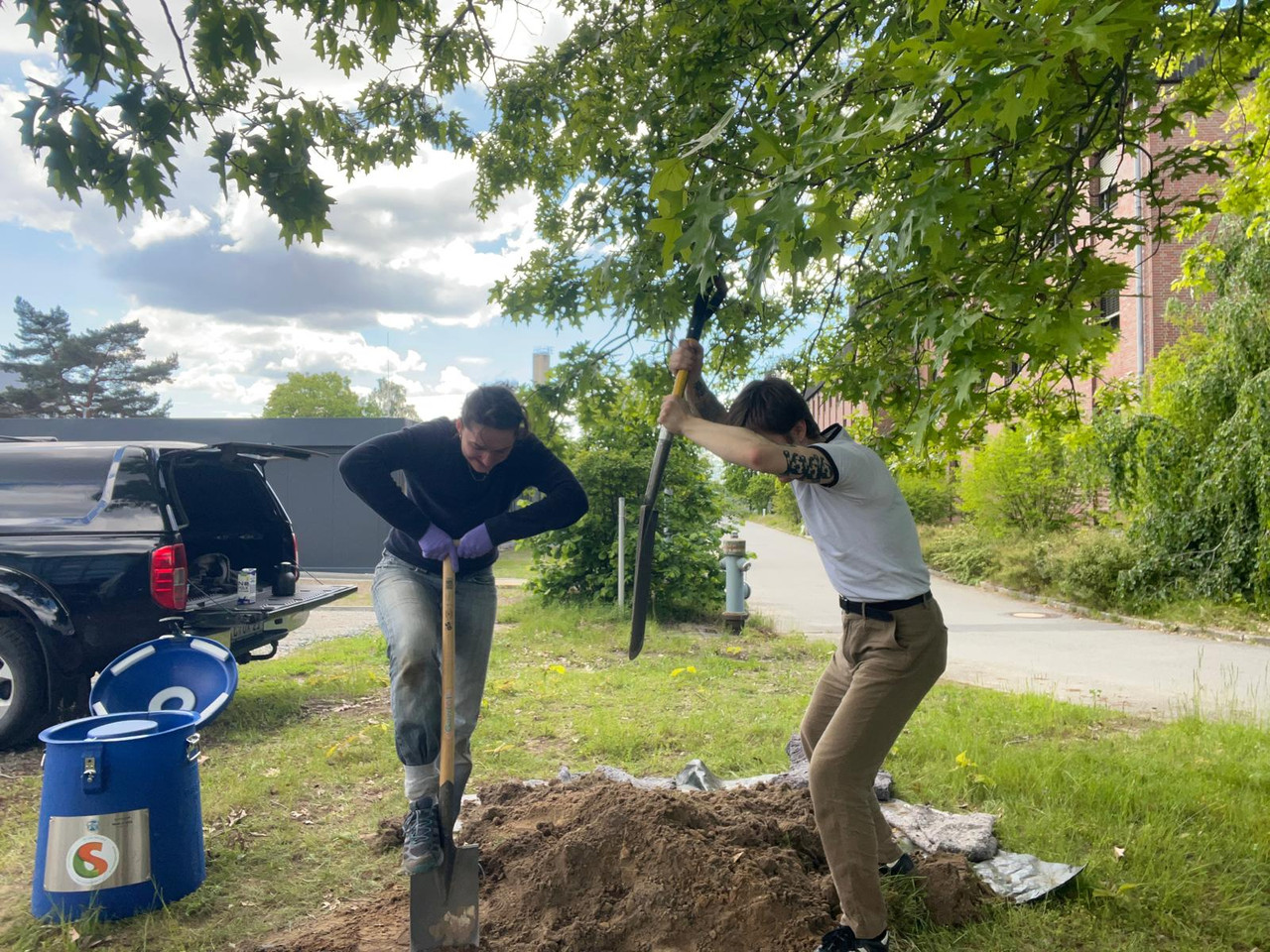 Fieldwork photo 2