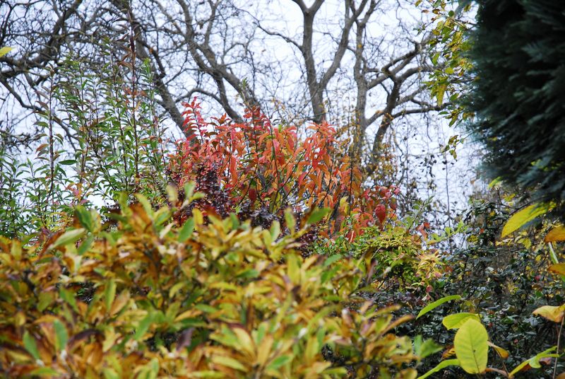 2013-10-23 Pfaffenhütchen