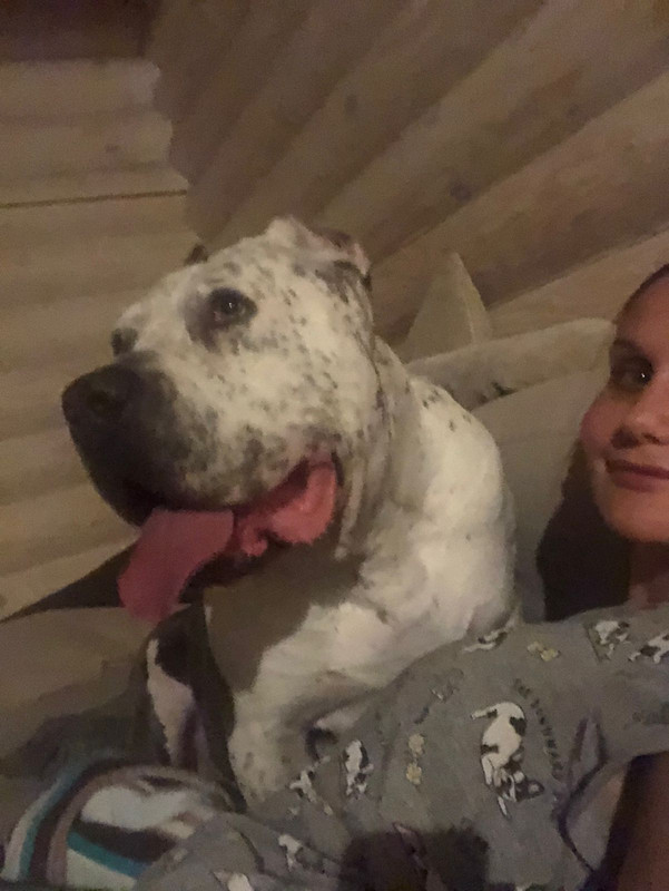 B5FC72AB-9A53-498E-98CE-90D0D318064B