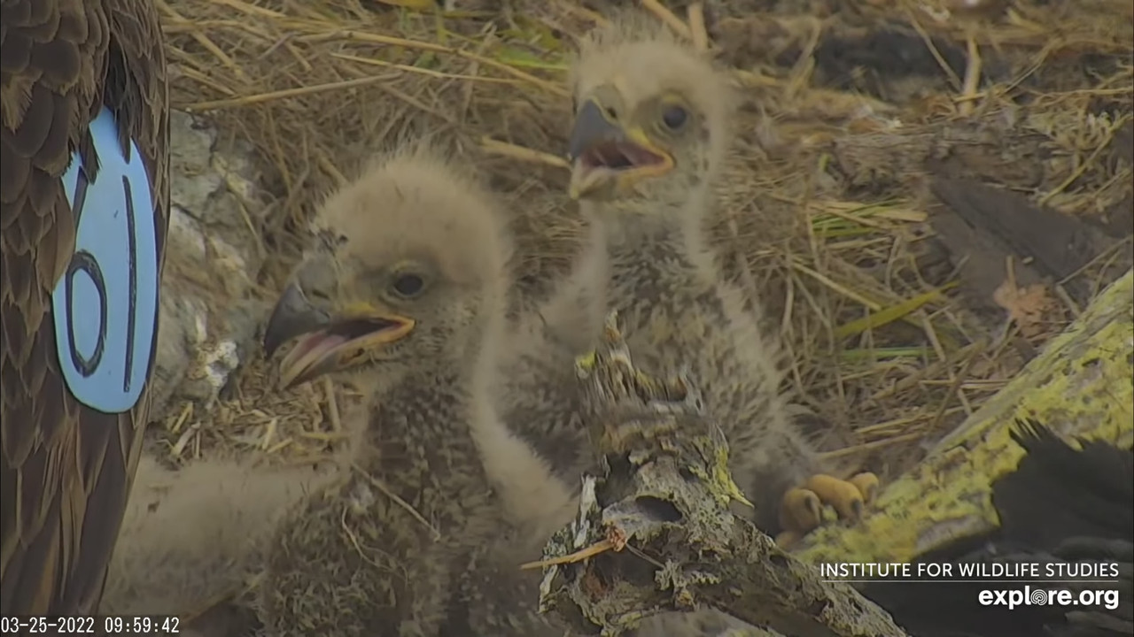 4B796DB5-0F53-4EE9-ADA1-E0F8BF2B7EEF