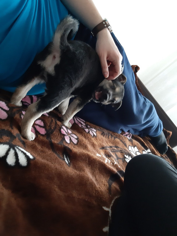 E4B2A091-8174-44E3-81D2-91BE9C579A94