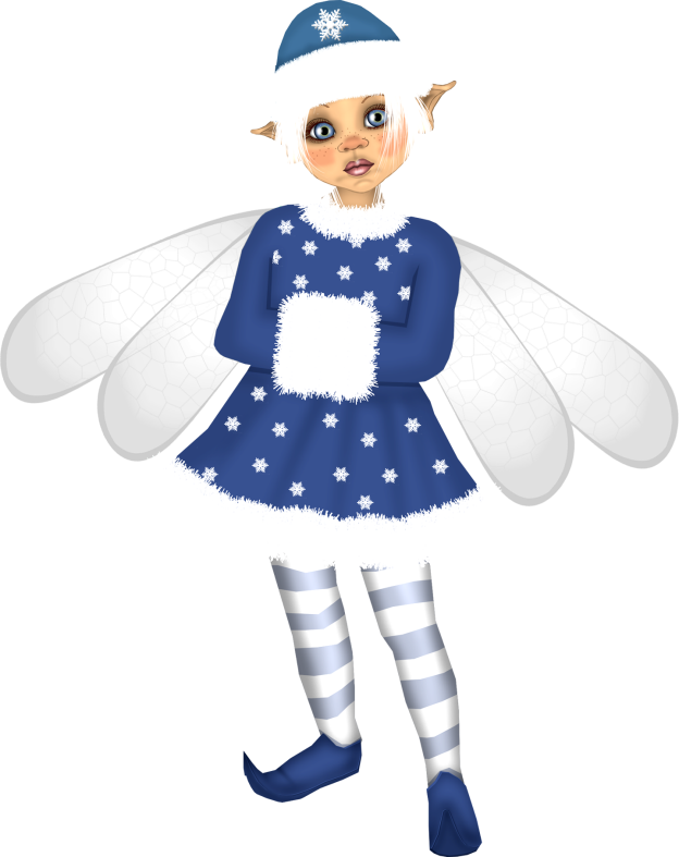 Christmasswishoffairydnfairyelf