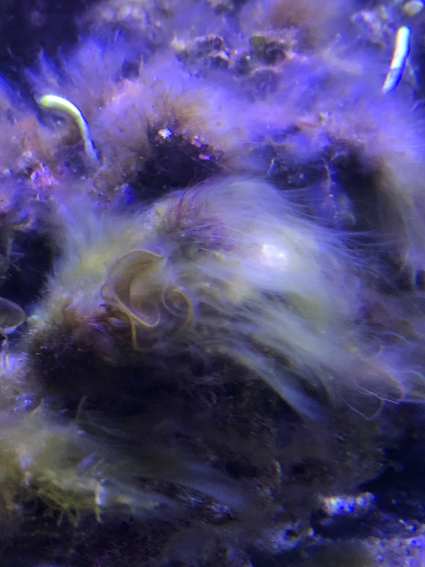 E2F1A66C-D568-4A68-B2A2-2C6E876309DB