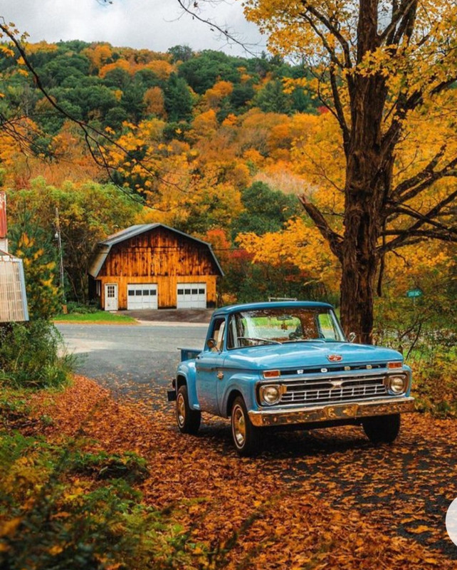 Screenshot_20230131_010515_Chrome