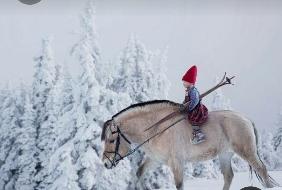 Screenshot_20230305_002904_Pinterest