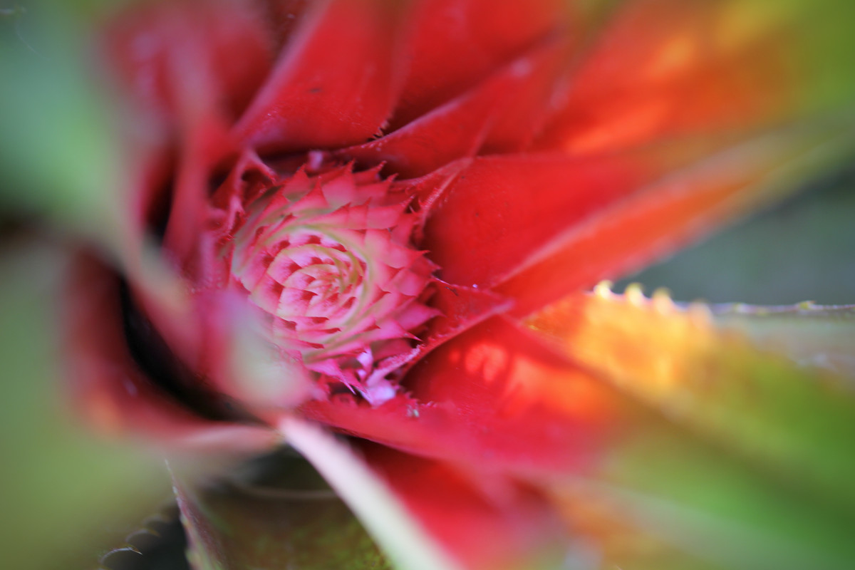 C4386E4C-2A46-458C-8EB3-7DFD729ECCC2_1_201_a