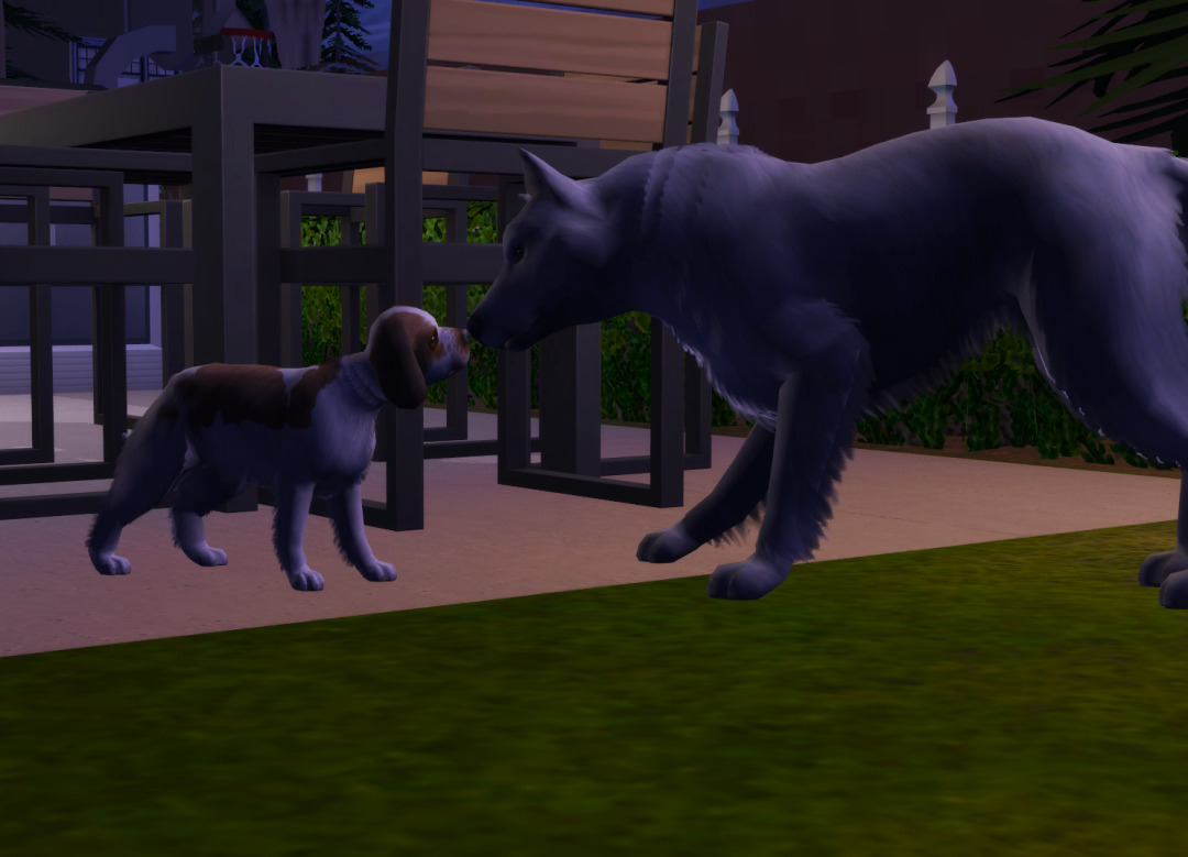 Sims2-EP9-RPC-2024-11-17-12-51-44-82