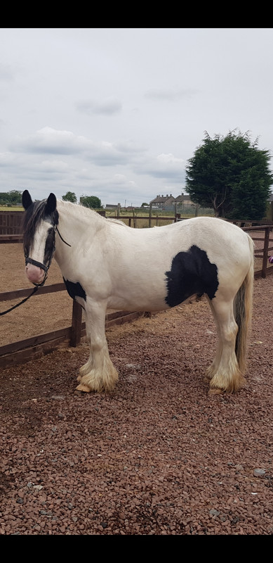 Screenshot_20180710-133620_Gallery