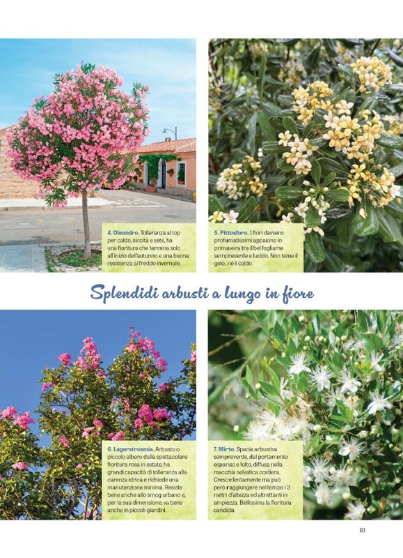 Pol Ver Spec Giu-Lug 2024 (10)