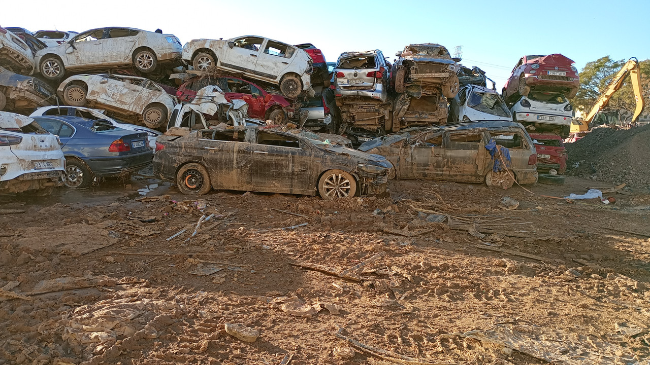 IMG_20250107_094407619_MFNR