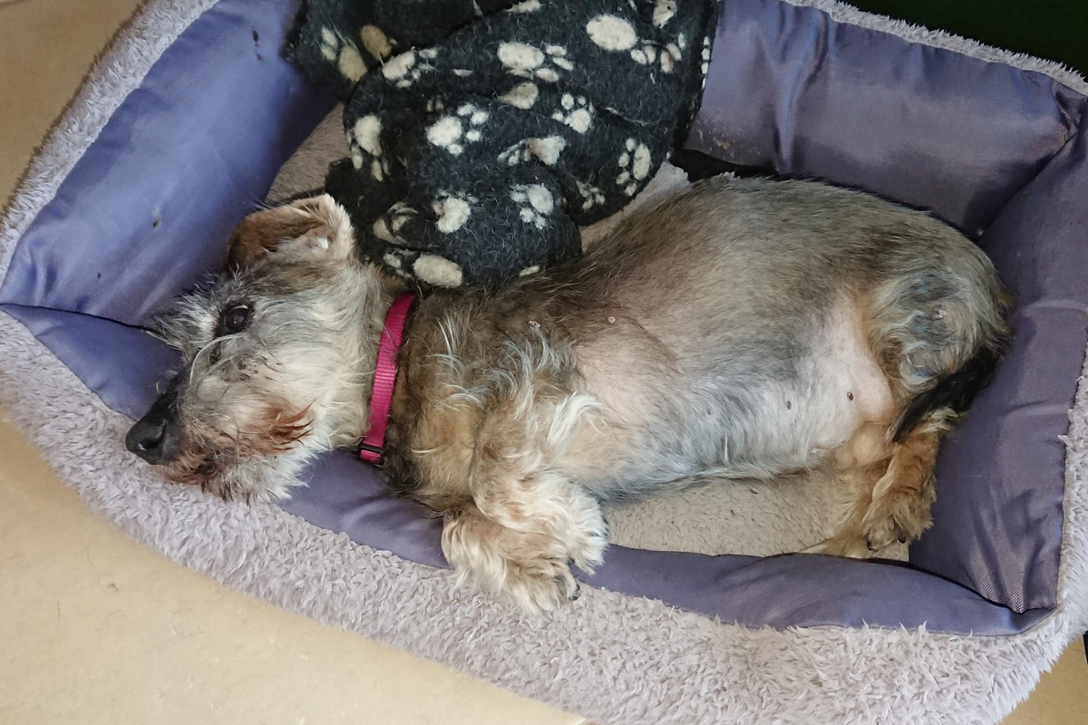 [Image: DSC-3593.jpg]