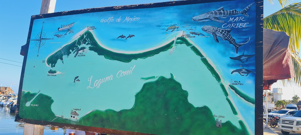 De cuando Riviera Maya me robó el corazón - Blogs de Mexico - Holbox: Yalahau-Isla Pasión-Punta Mosquito y Punta Coco (1)