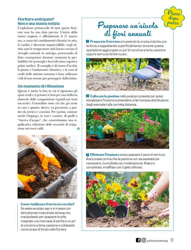 Pol Ver Mar 2025 (2)