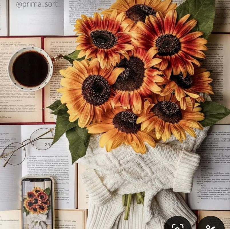 Screenshot_20240715_141838_Pinterest