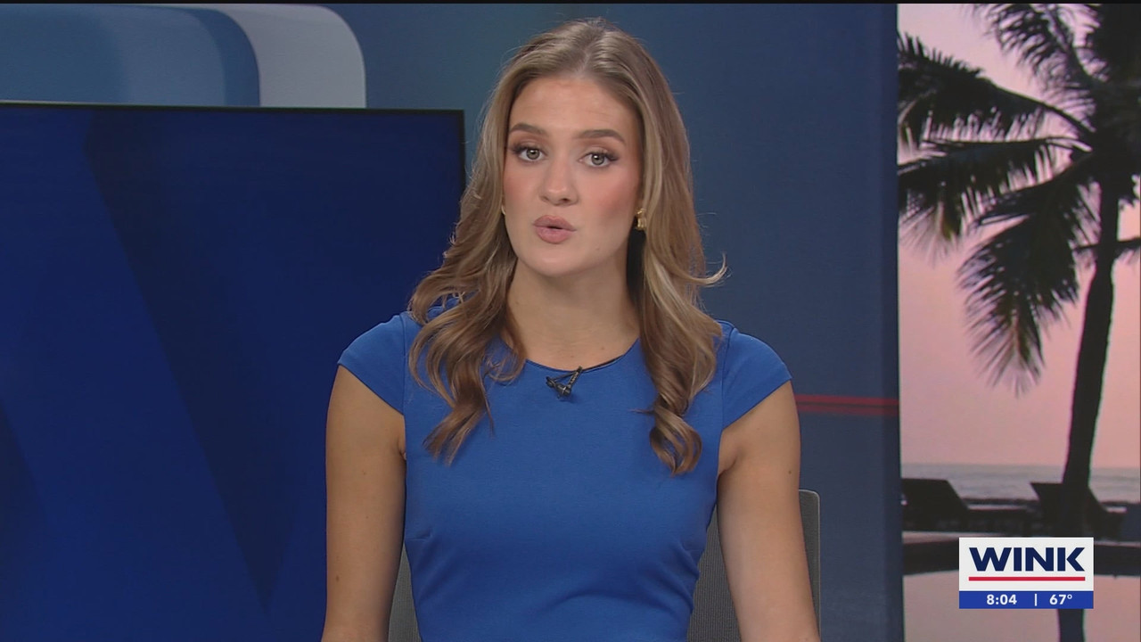 WINK News at 800AM_20250302_13001400.ts_snapshot_00.05.17.977