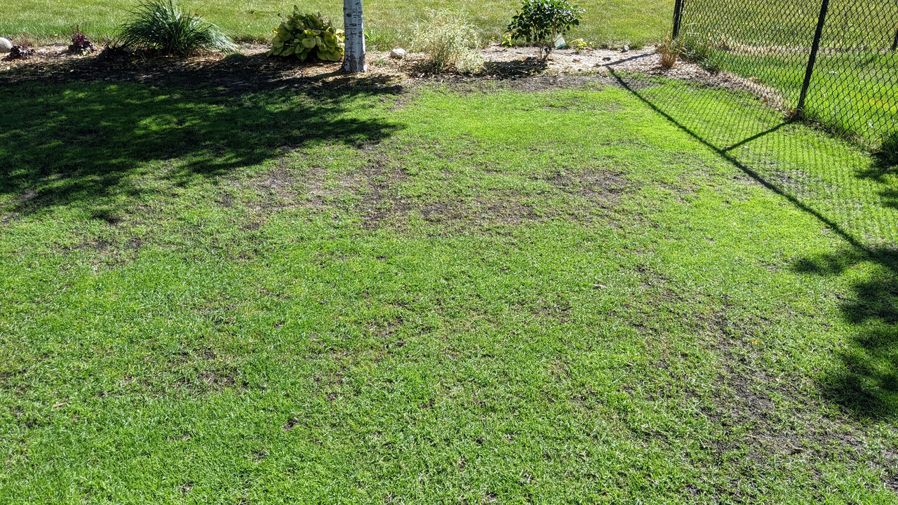 PXL_20210923_160420660.MP