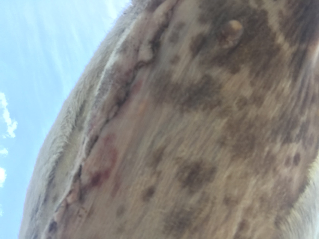 858CDEEF-5931-4938-ADAC-DA1031F56E3A