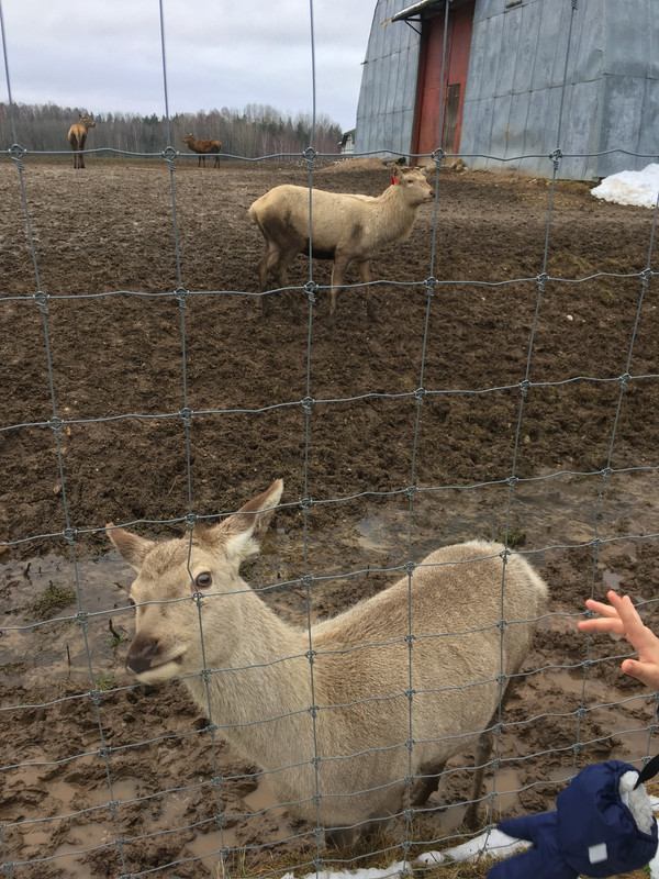 05AF0875-B70B-46B7-844D-4887DD36FDBD