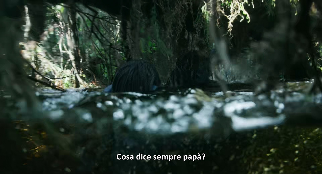 Avatar Fire and Ash (2025) 1080p AMZN WEB DL x265 10b ITA ENG MULTISUB GEGE mkv snapshot 00 34