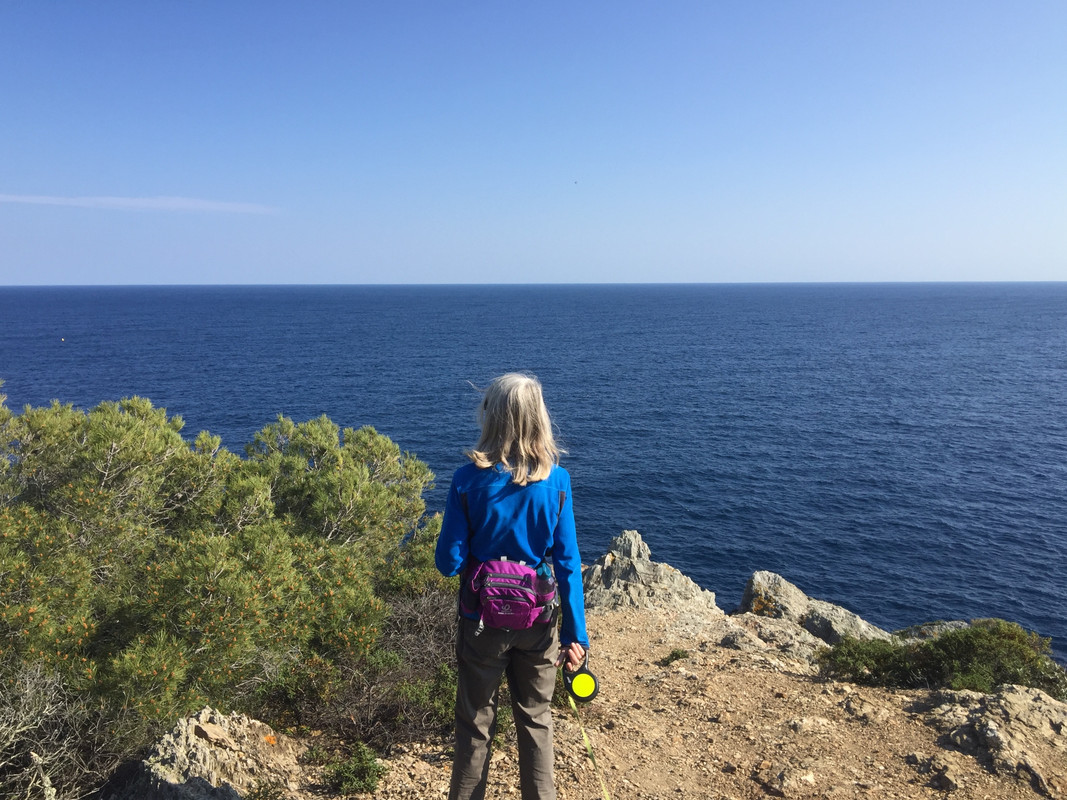 D90FA00A-A015-4F67-894B-597523ABCF6B