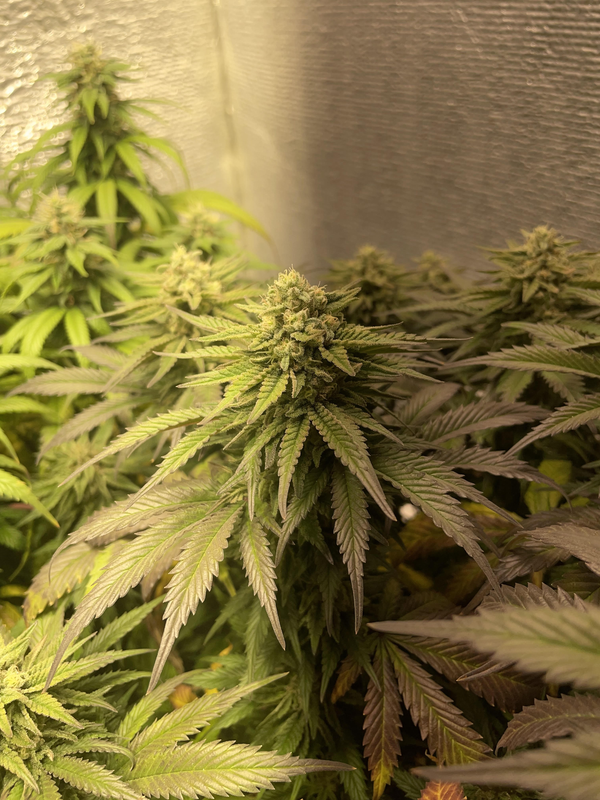 görsel 2026 03 05 181722141