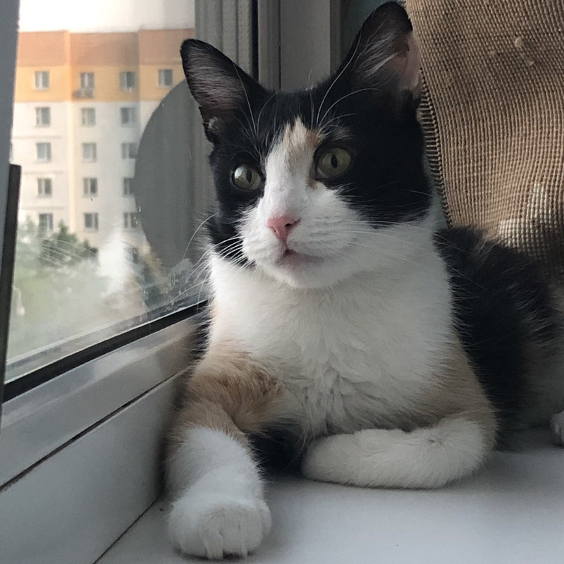 A0C5F325-61AB-44E8-844E-1EF099E5CB0E