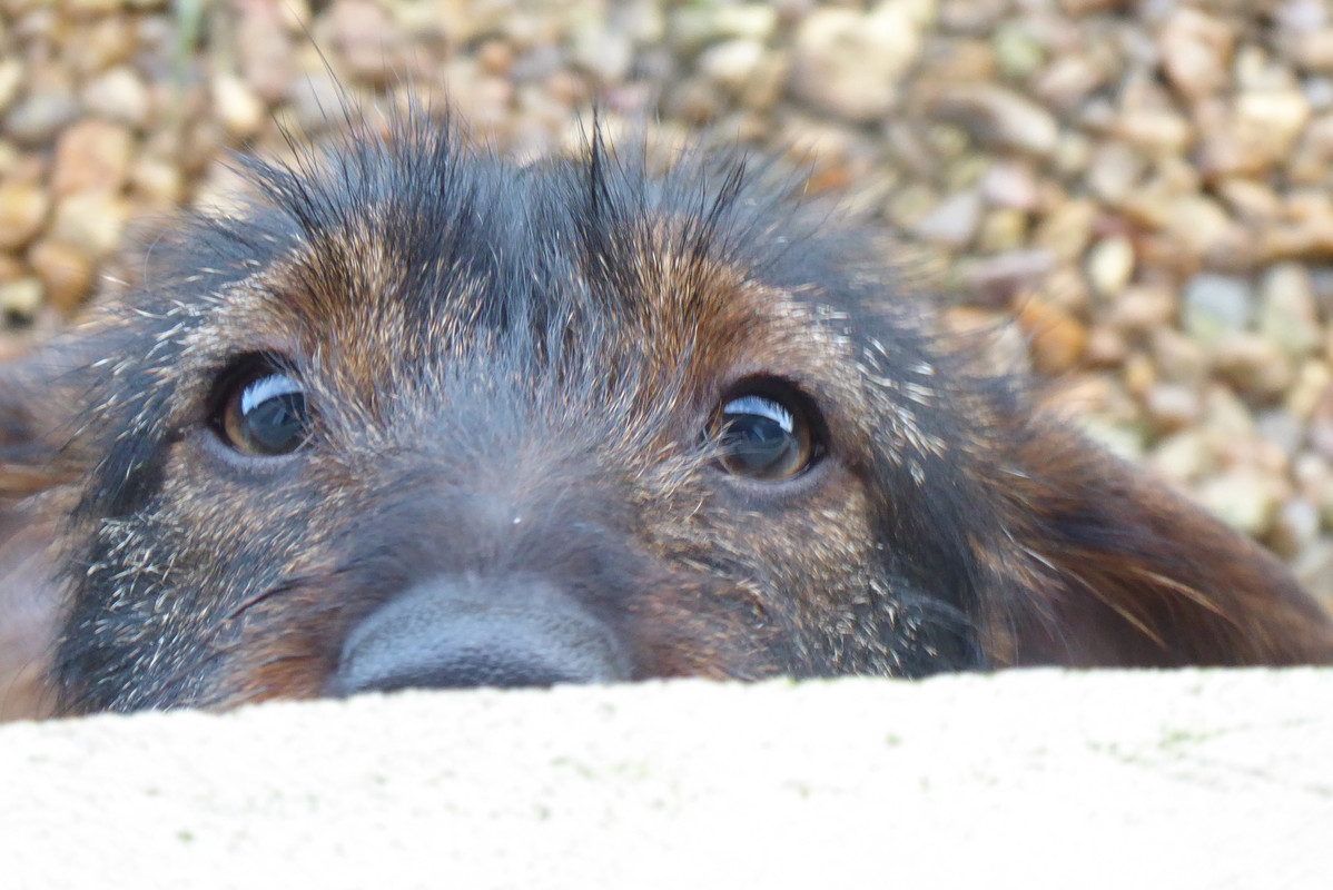 [Image: P1040422.jpg]