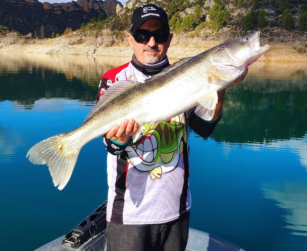 WhatsApp Image 2019-12-01 at 19.43.09