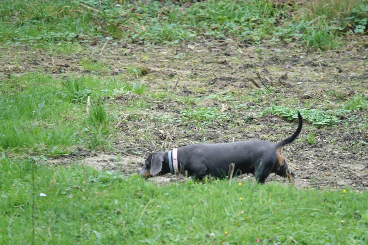 [Image: DSC01207.jpg]