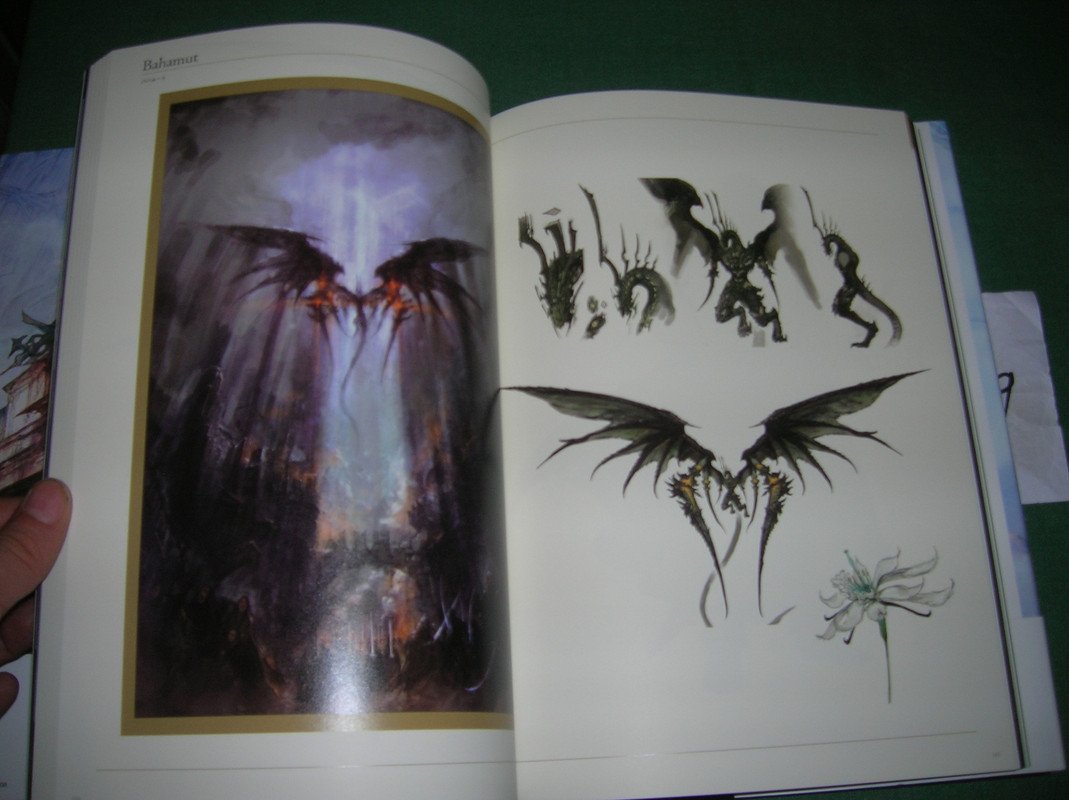 Collection à thème: Final Fantasy  DSCN7550