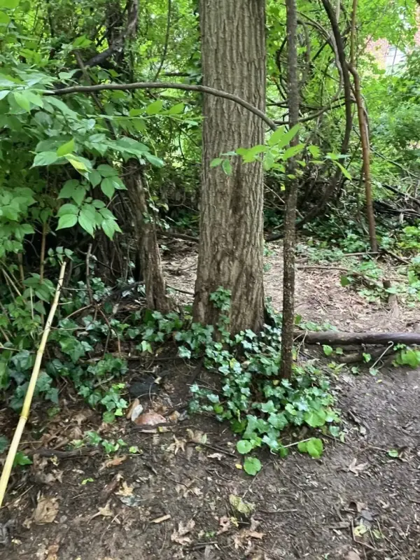 D0FB2A7E-B639-457D-8EE4-0D4FF584A68C