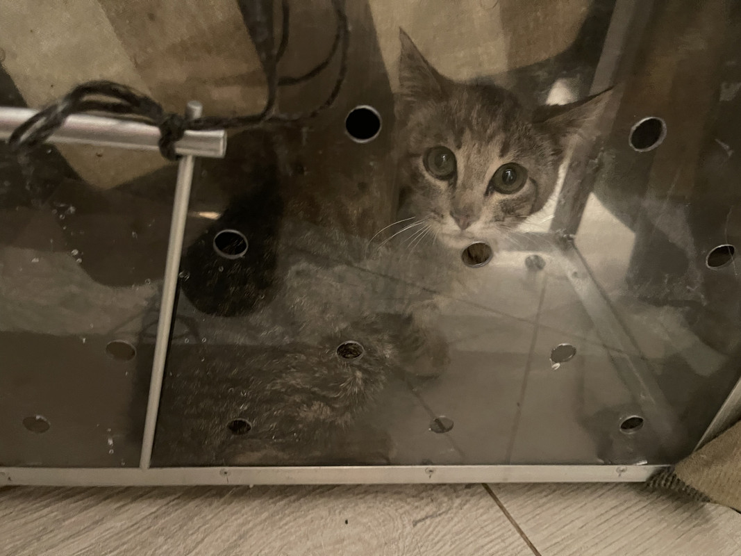 8BEED162-DE47-43AA-AD23-59E485F46E62