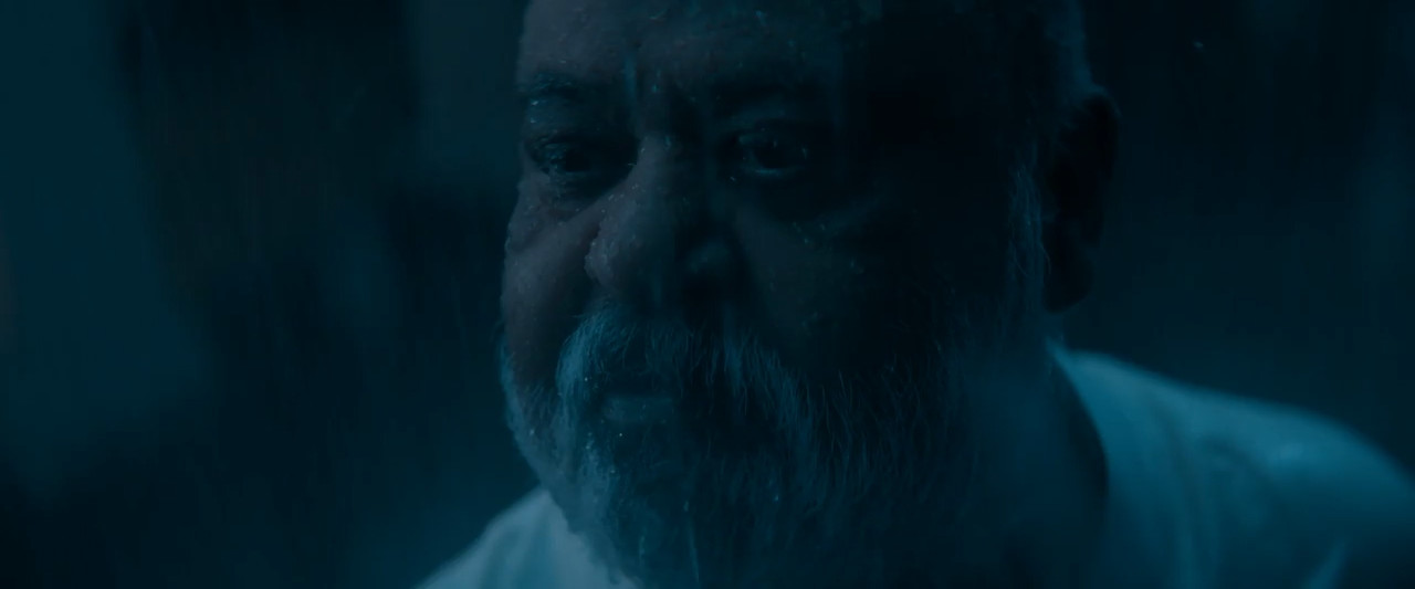 Maalik 2025 WebRip [Hindi] 480p 720p ESub Screenshot