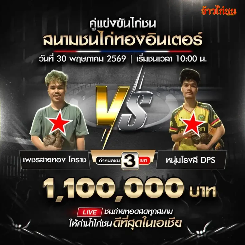 เพชรสายทอง โคราช vs หนุ่มโรงสี DPS สนามชนไก่ทองอินเตอร์ วันที่ 30 พฤษภาคม 2569