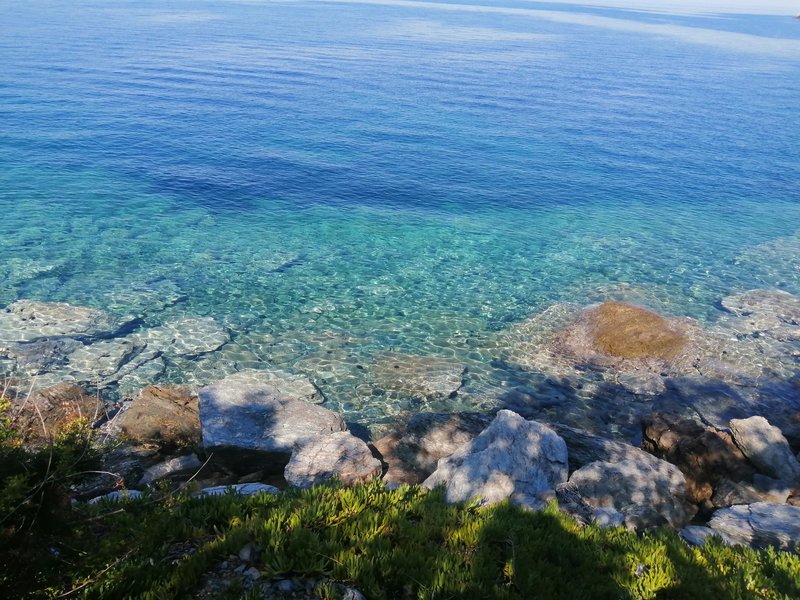 Slika
