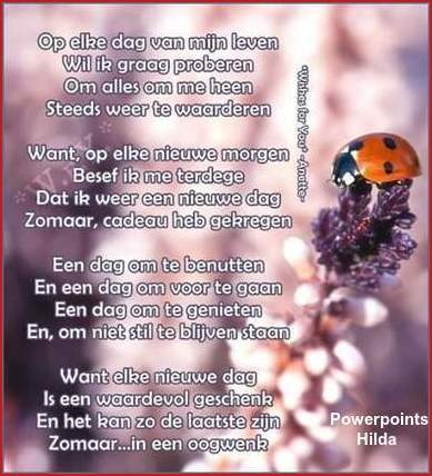 Op-elke-dag-12-11-2021