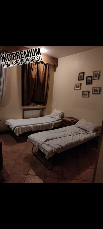 Koks nuostabus tas bčb pelėsio gyvenimas litukrijoje