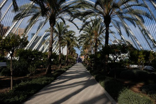 Domingo 31/12: Centro de Valencia y Fin de Año en la Plaza del Ayuntamiento - VALENCIA en un fin de semana (4)