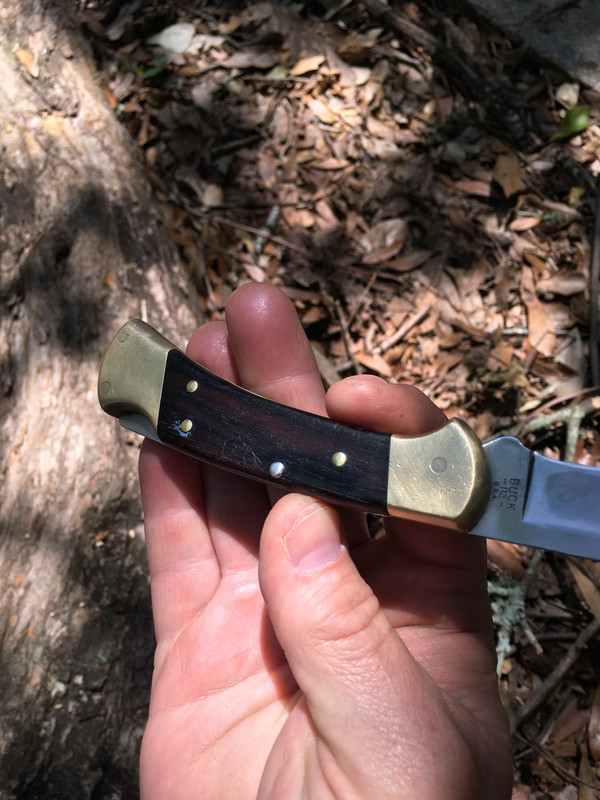 02AB404D-3C21-48BD-A147-97C4A6C7CE30