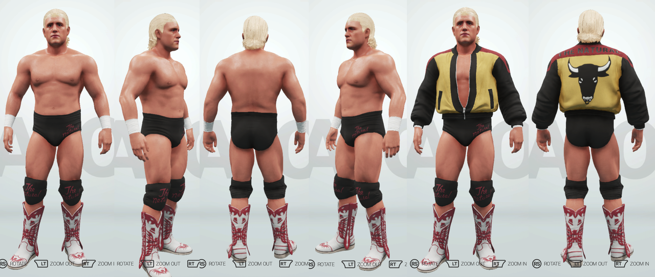 Dustin-Rhodes-2-K19-CAW05.png