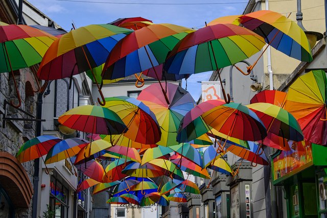 10 días por Irlanda en verano de 2024 - Blogs de Irlanda - DÍA 3 – Kilkenny - Cork (El día en que todo sale mal) (14)