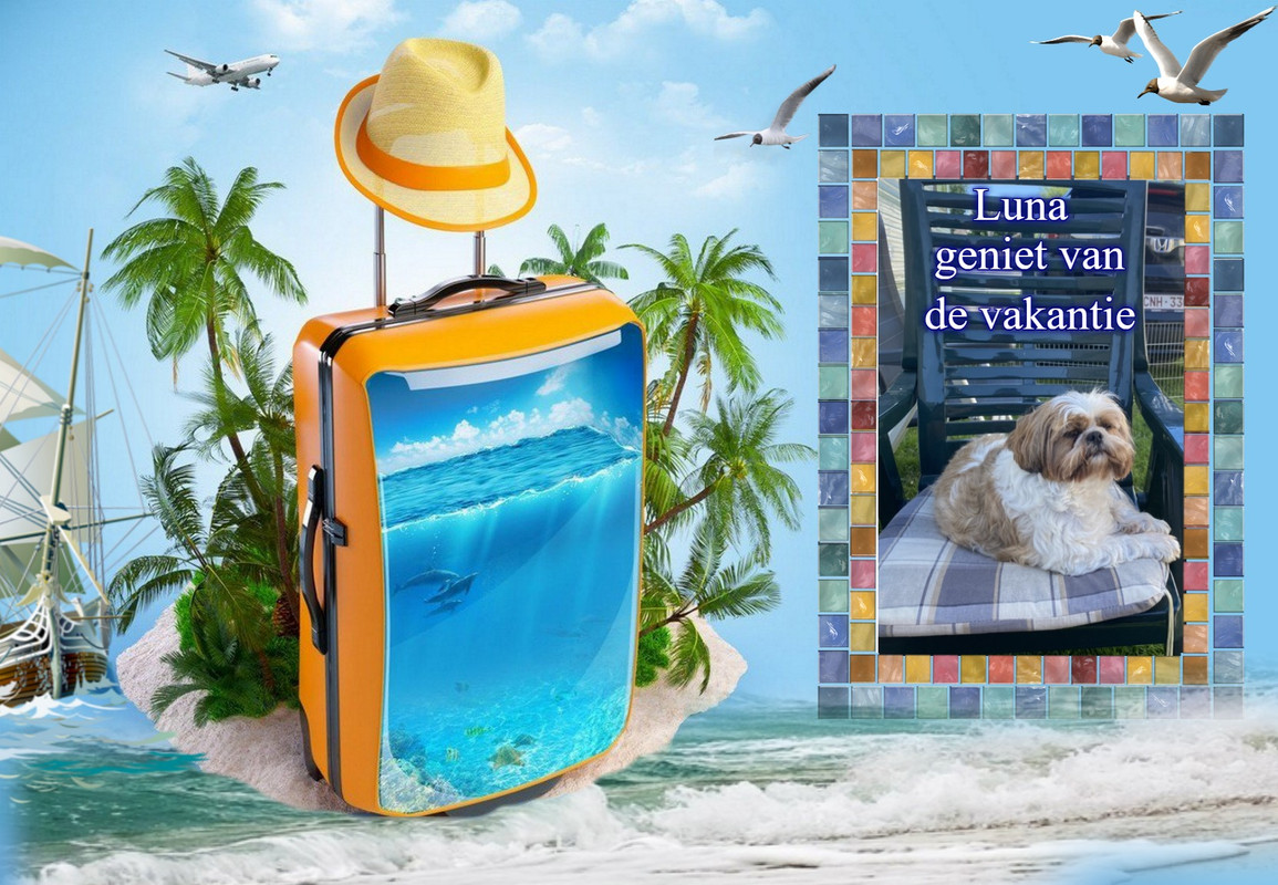 Luna (R) vakantie