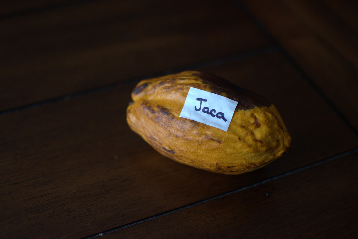 F927C2A8-050D-475B-BD13-1D966F4A5E40