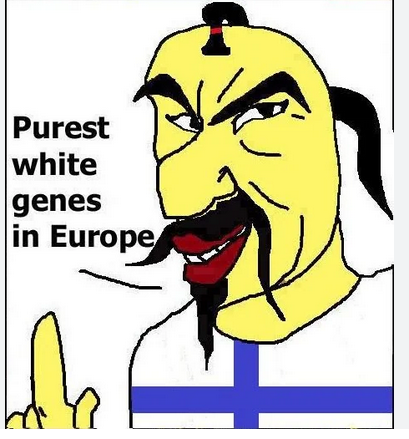 Screenshot-2023-11-13-at-02-37-59-finland-purest-white-genes-meme-Google-haku.png