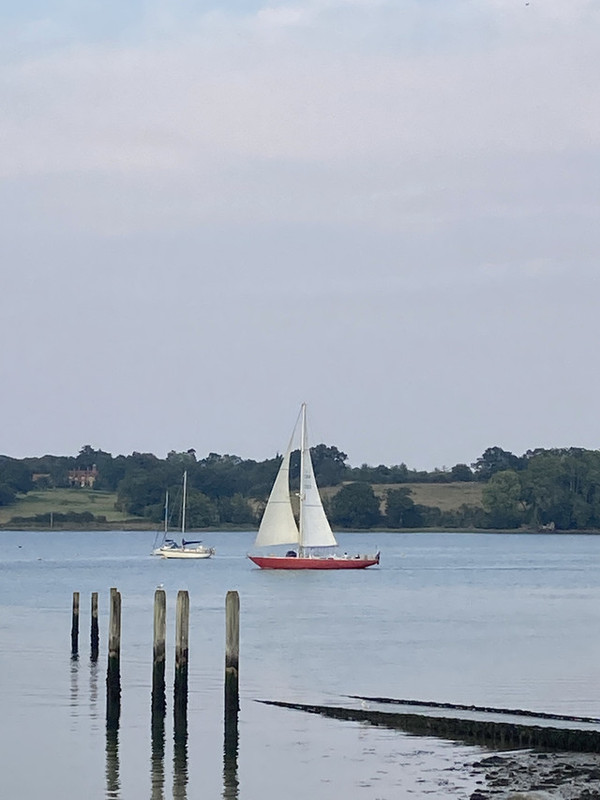 D41F5749-10D2-43C7-B35E-C1E2D51E6219